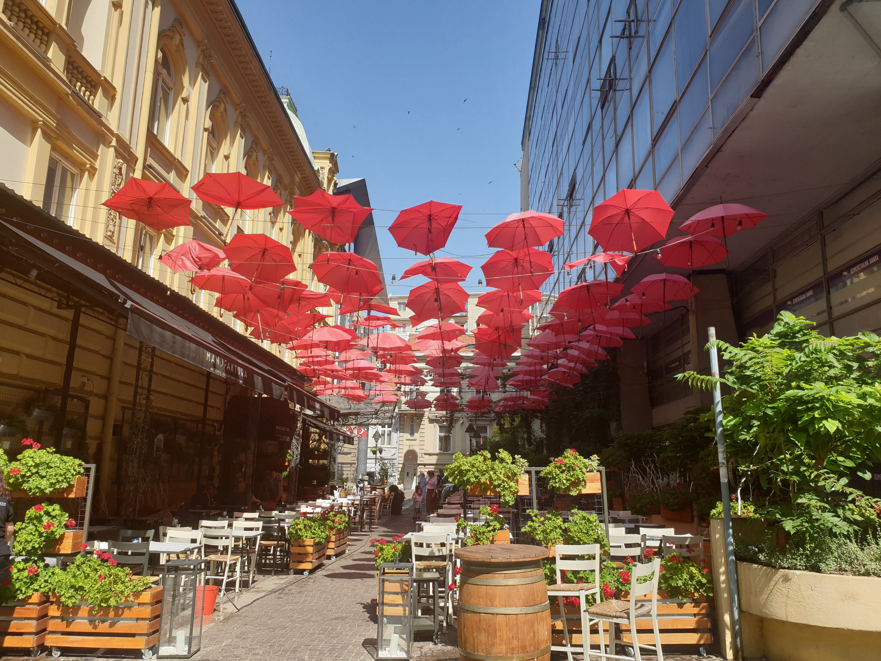 Umbrellas in Belgrade